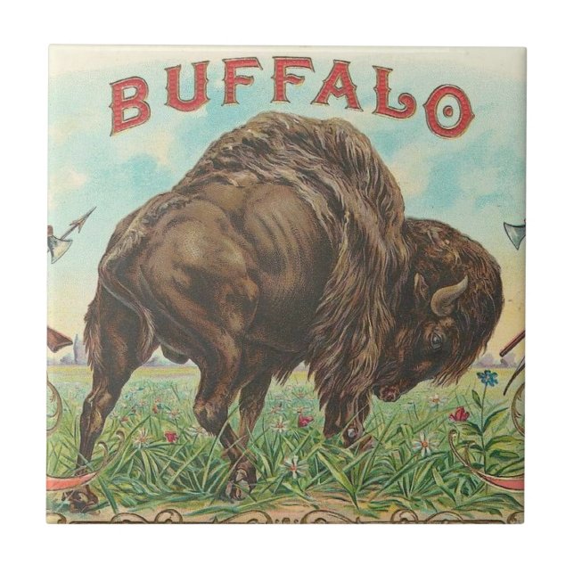 Carreau Buffalo (Devant)