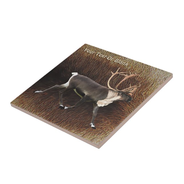 Carreau Bull Caribou (Reindeer) (Côté)