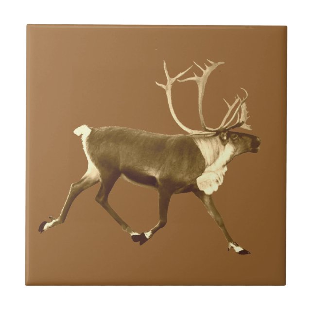Carreau Bull Caribou - Sepia (Devant)