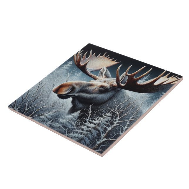 Carreau Bull Moose (Côté)