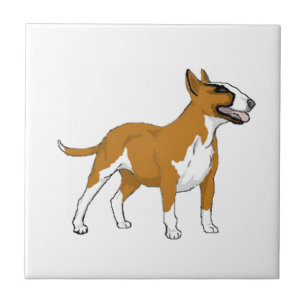 Carreau Bull Terrier — Couleur