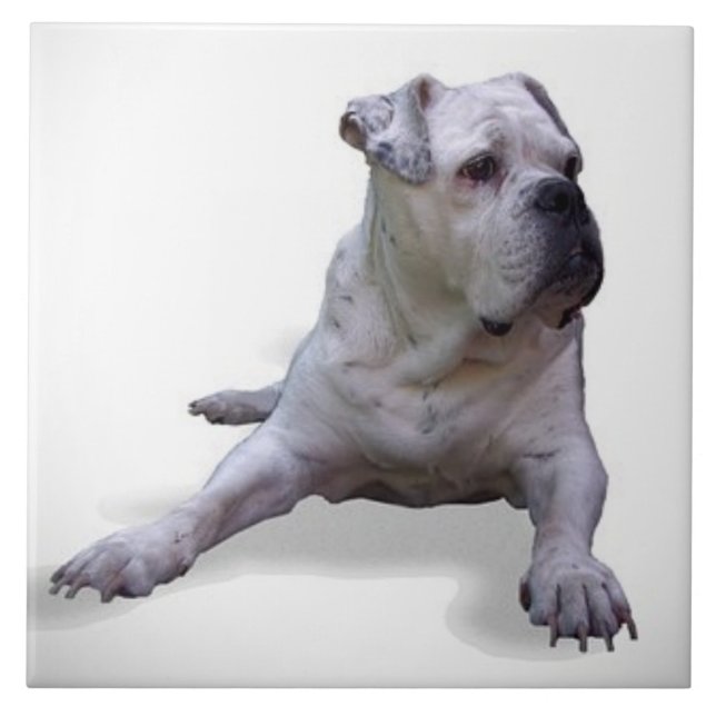 Carreau BULLDOG 2, Amour des animaux, meilleur ami KEEPSAK (Devant)