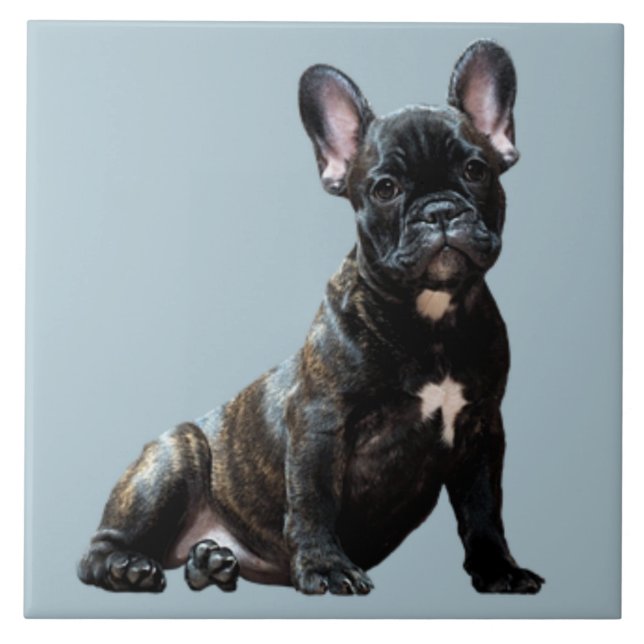 Carreau BULLDOG 3, Amour des animaux, meilleur ami KEEPSAK (Devant)