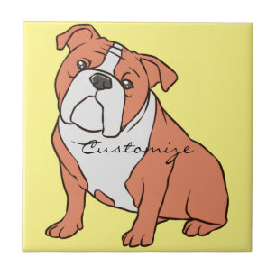 Carreau Bulldog Breed Thunder_Cove