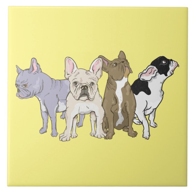 Carreau Bulldogs français (Devant)