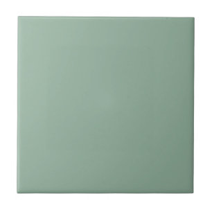 Carreau Burmese Jade Green Carré Cuisine et salle de bain