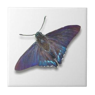 Carreau Butterfly Tile - Mangrove Skipper