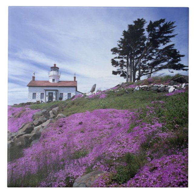Carreau CA, Crescent City, phare de Battery Point avec (Devant)