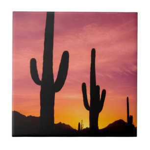 Carreau Cactus saguaro au lever du soleil, Arizona