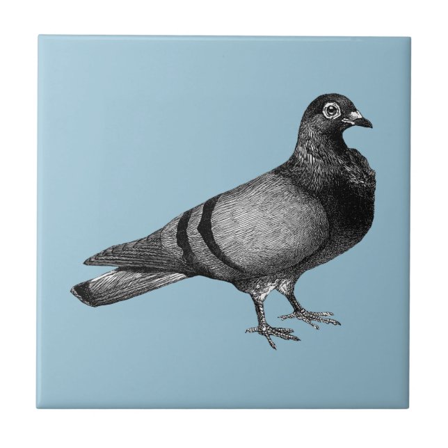 Carreau Cadeaux vintages de pigeon (Devant)
