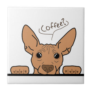 Carreau Café ? Carrelage décoratif AHT