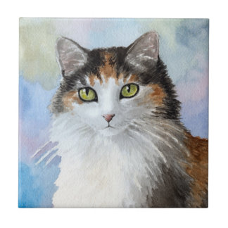 Carreau Calico Cat 572 bleu Grande boîte cadeau