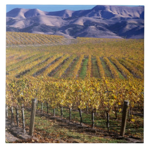 Carreau Californie, Comté de San Luis Obispo, vallée de 