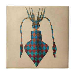 Carreau Calmar à Imaginaire vintage