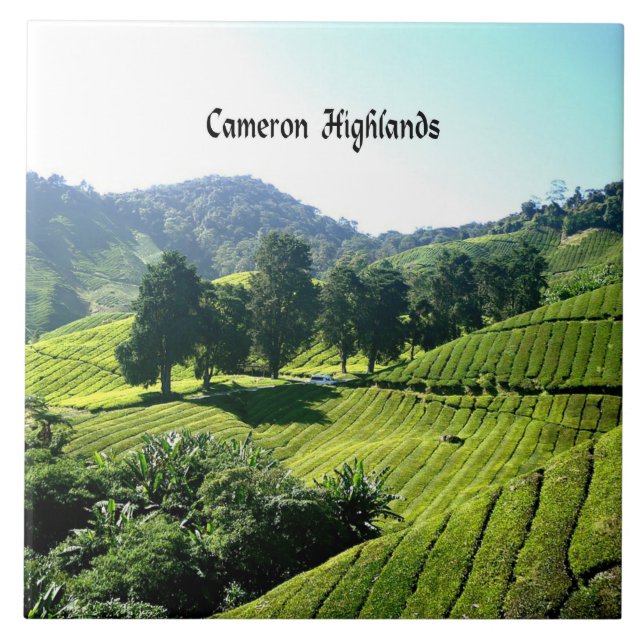 Carreau Cameron Highlands, Thé Plantation, Malaisie (Devant)
