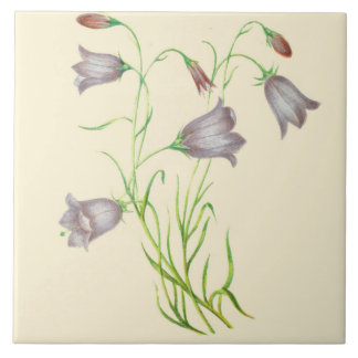 Carreau Campanula en céramique de tuile de cuisine de