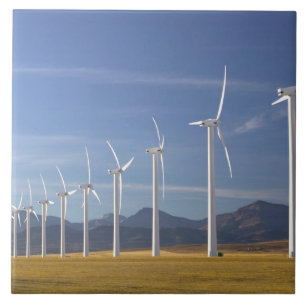 Carreau Canada, Alberta, région de Crowsnest Pass : Cowley