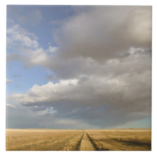 Carreau Canada, Alberta, Stand Off : Paysage avec