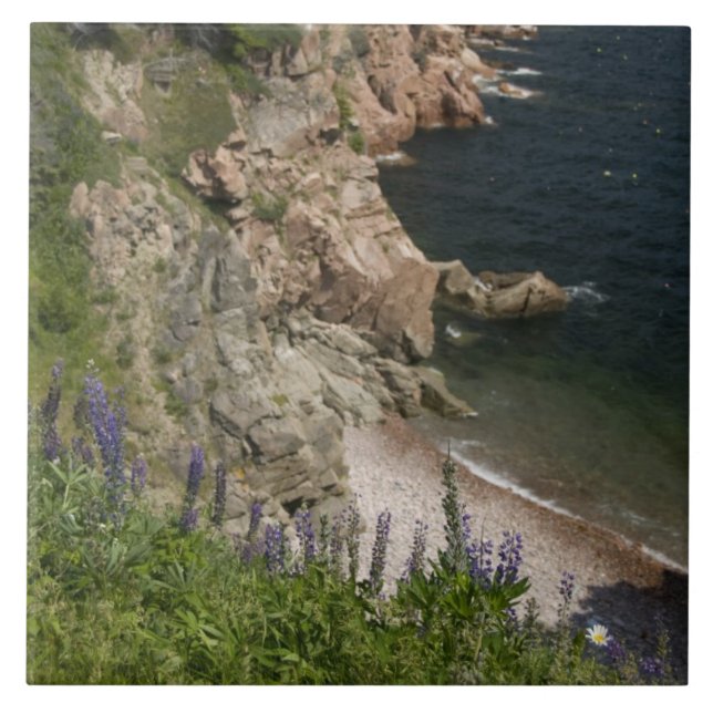 Carreau Canada, Nouvelle-Écosse, Île du Cap-Breton, Cabot  (Devant)