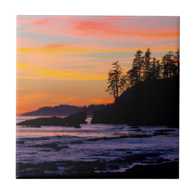 Carreau Canada, réserve de parc national Pacific Rim, Oues (Devant)