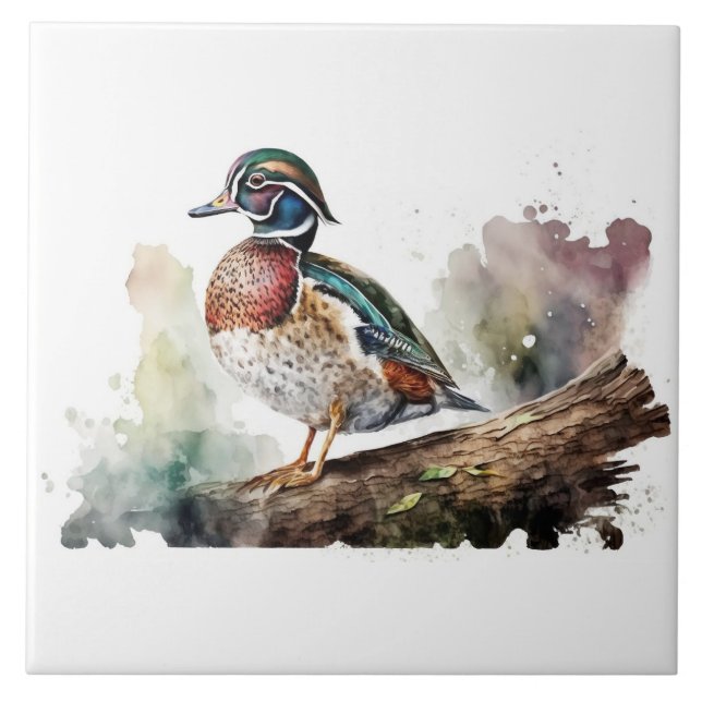 Carreau Canard à bois sur un Arrière - plan blanc solide s (Devant)