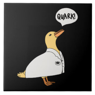 Carreau Canard de physique