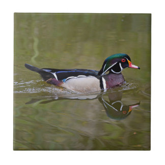 Carreau Canard en bois coloré