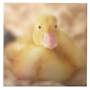Carreau Canard Jaune Fuzzy Bébé de Pâques Canard