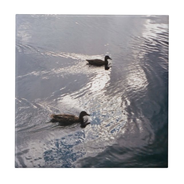 Carreau Canards calmes avant la tempête (Devant)
