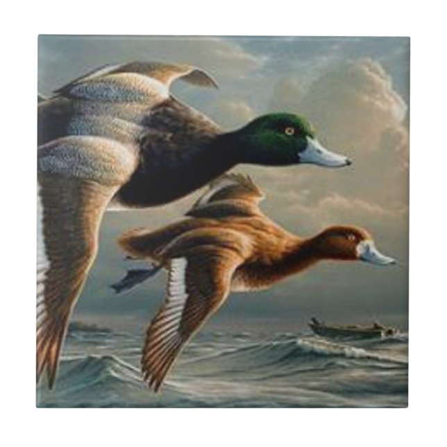 Carreau Canards de Mallard de vol (Devant)