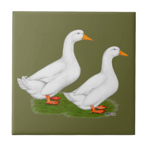 Carreau Canards :  Pekins blanc