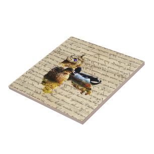 Carreau Canards sur papier vintage