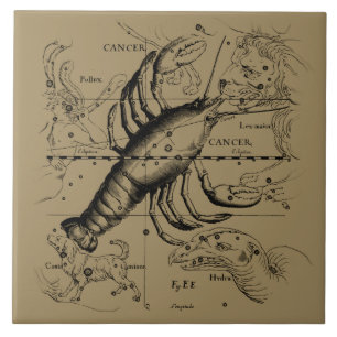 Carreau Cancer constellation Hevelius 1690 Engaving