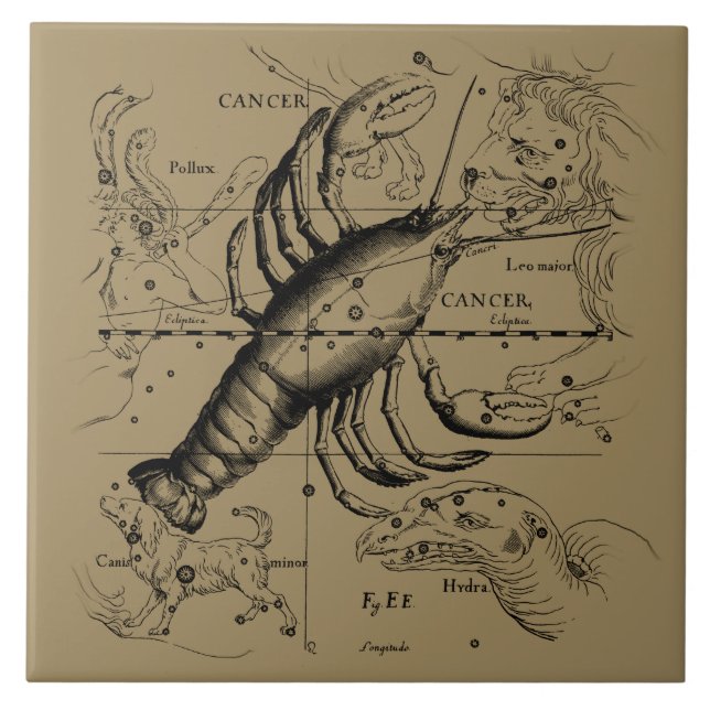 Carreau Cancer constellation Hevelius 1690 Engaving (Devant)