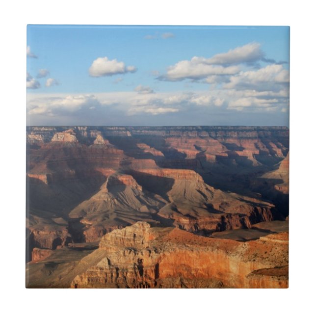 Carreau Canyon grand vu de la jante du sud en Arizona (Devant)