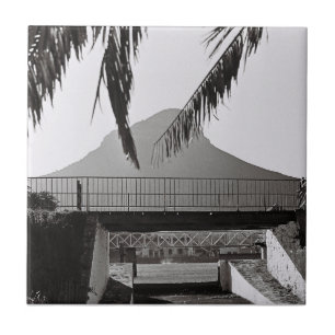 Carreau Cap Lion's Head Afrique du Sud ZA