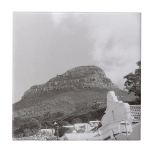 Carreau Cap ZA Afrique du Sud Tête de lion