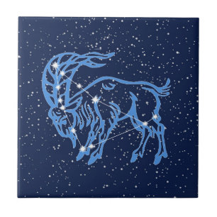 Carreau Capricorne Constellation et signe solaire avec éto