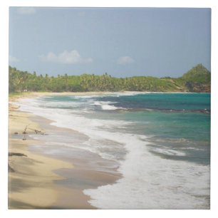 Carreau Caraïbes, GRENADE, côte est, Grenade Bay,
