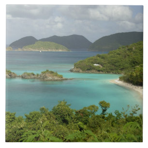 Carreau Caraïbes, îles Vierges américaines, St. John, Trun