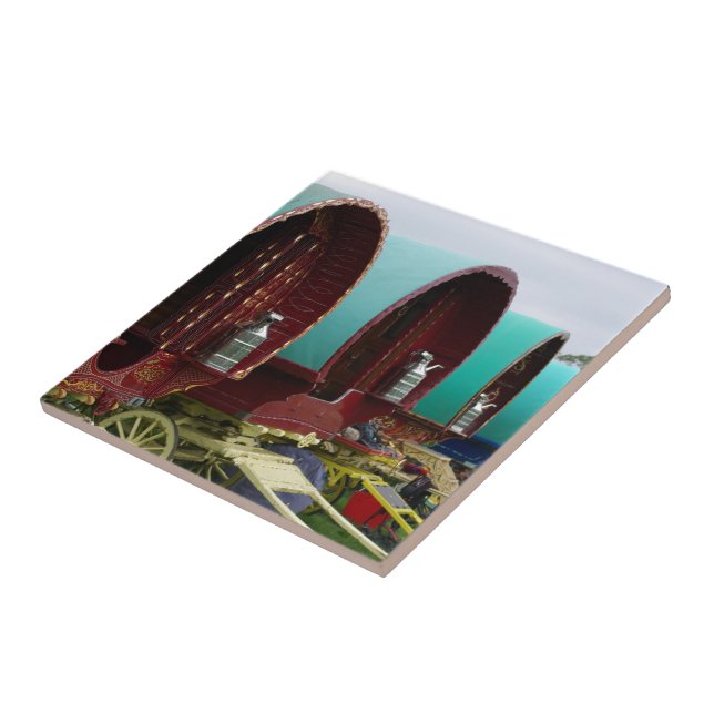 Carreau Caravane roumaine tzigane (Côté)