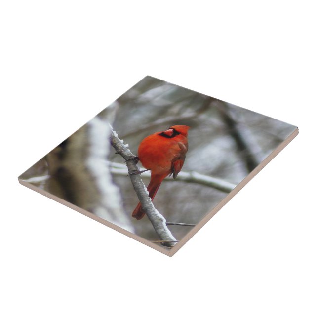 Carreau Cardinal masculin (Côté)