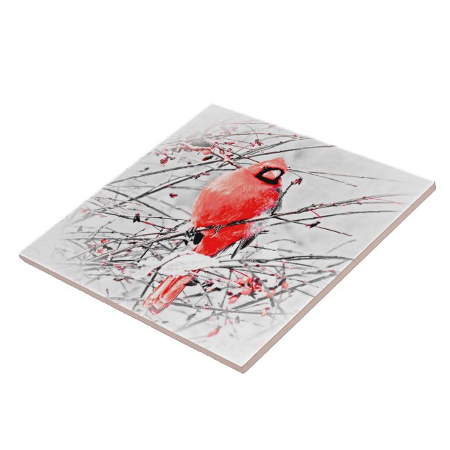 CARREAU CARDINAL MASCULIN D'HIVER (Côté)