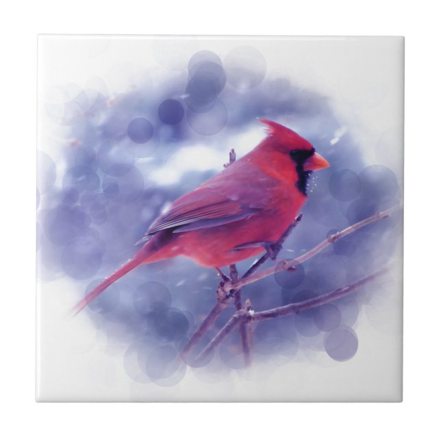 Carreau Cardinal rouge au Blizzard (Devant)