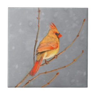 Carreau Cardinal sur la peinture de branche - Art original