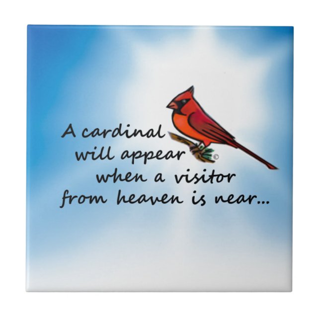 Carreau Cardinal, visiteur de ciel (Devant)