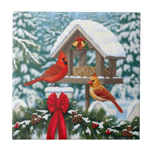 Carreau Cardinaux et mangeoire de Noël
