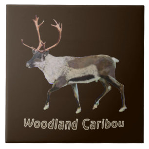 Carreau Caribou des bois