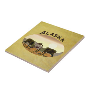 Carreau Caribou Duel - Alaska