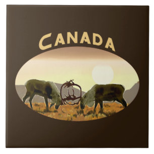 Carreau Caribou Duel - Canada